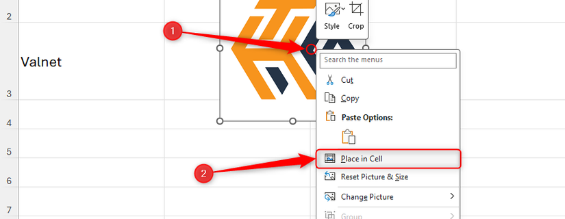 Menu de contexto com 'Place In Cell' selecionado.