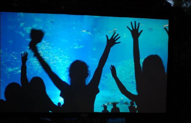 Дети смотрят успокаивающее видео перед началом основного фильма