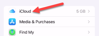 Выберите «iCloud» и включите «Сообщения».