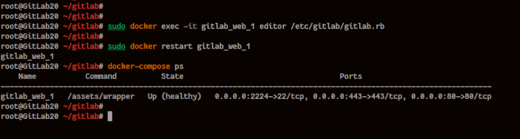 Настройка GitLab внутри контейнера
