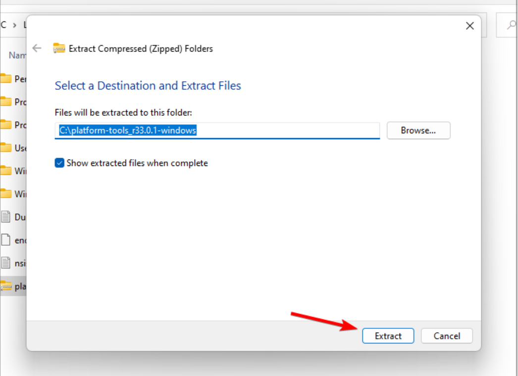 Кнопка 'Извлечь' в мастер-извлечения