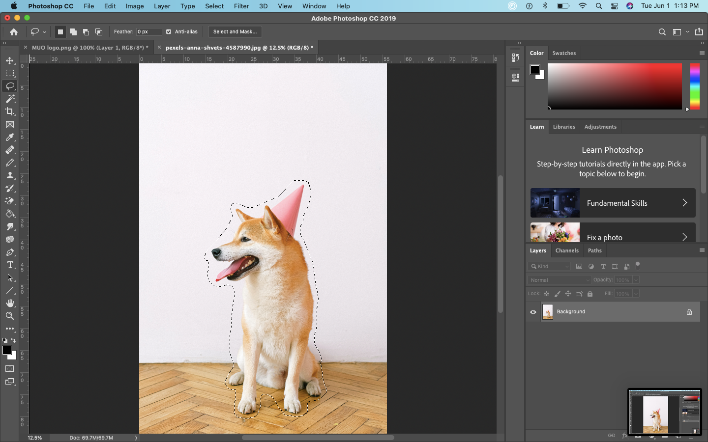Интерфейс удаления фона в Photoshop с инструментом Лассо