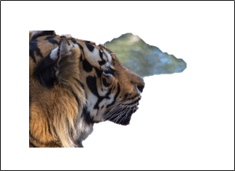 Изображение с фоном, удалённым в большей части