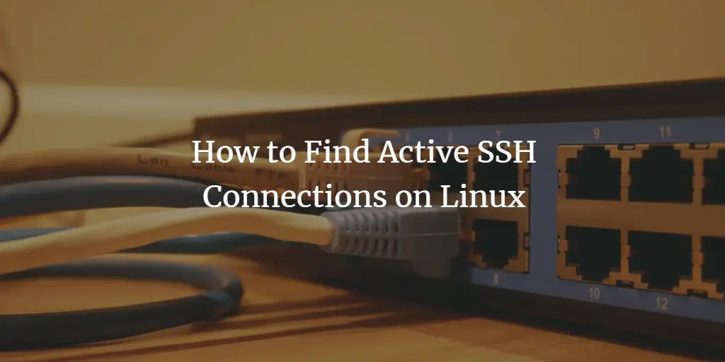 Connessioni SSH attive su Linux — come trovarle