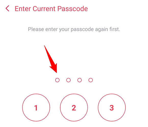 Введите текущий код доступа