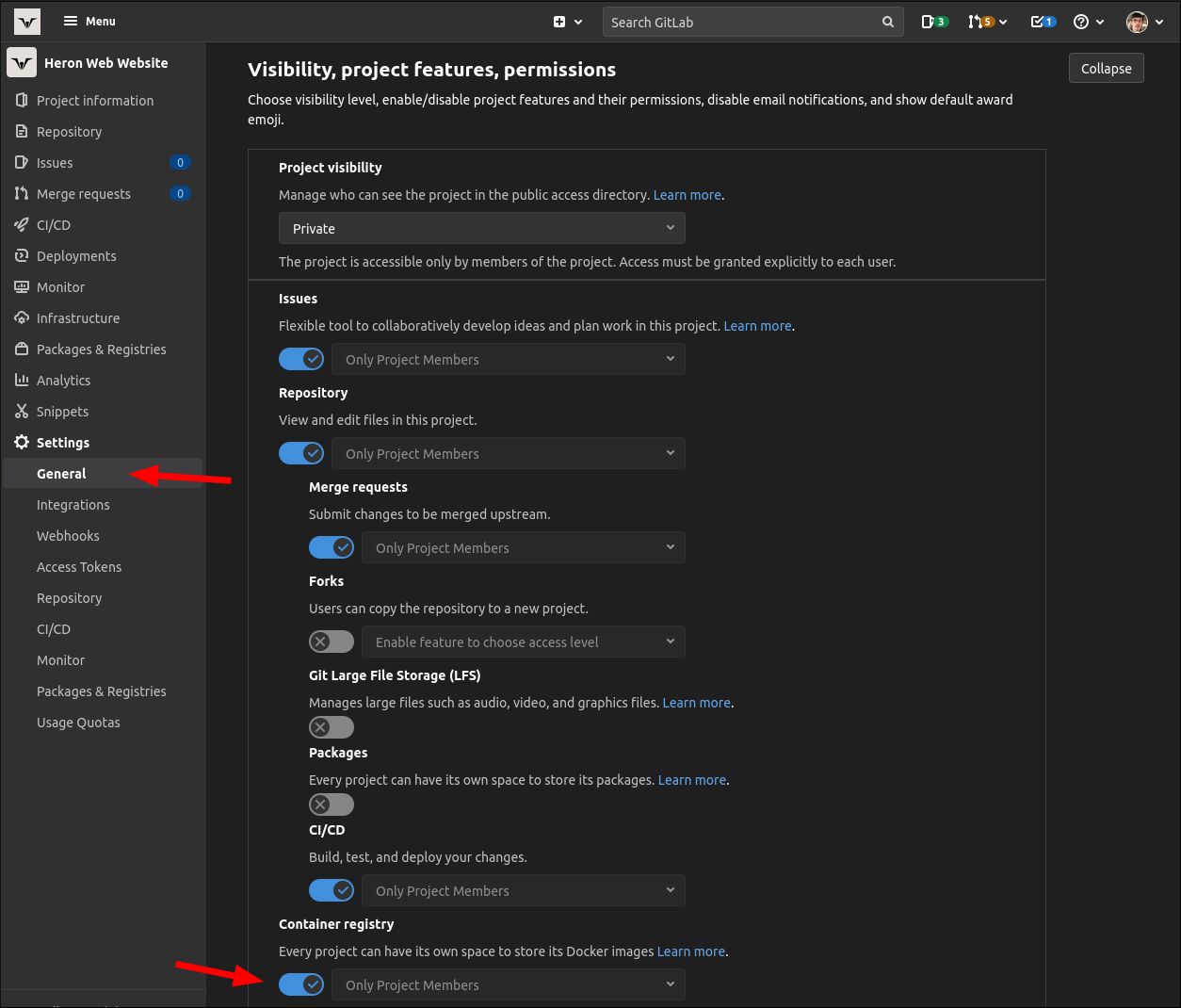 Скриншот включения реестра контейнеров в настройках проекта