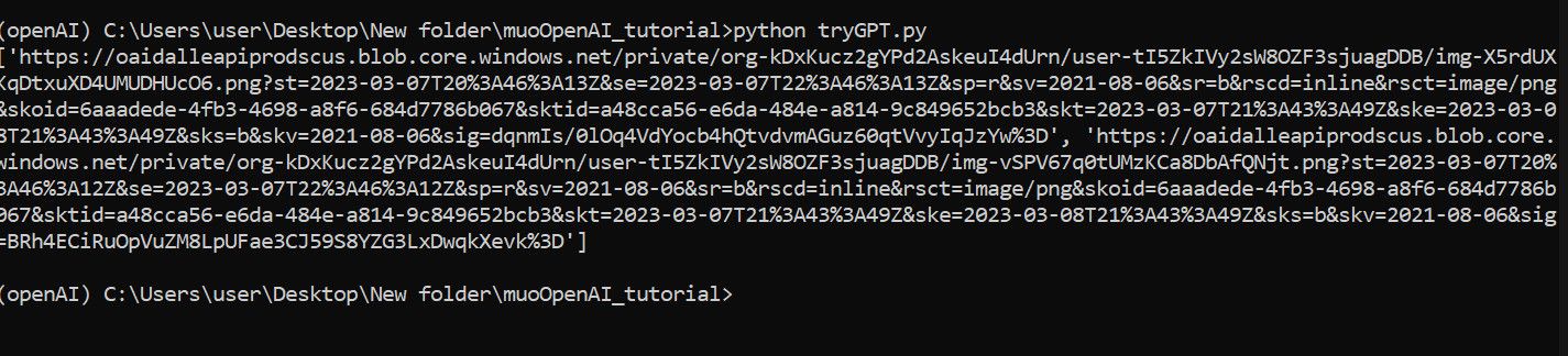 Пример вывода кода: URL‑адреса созданных изображений