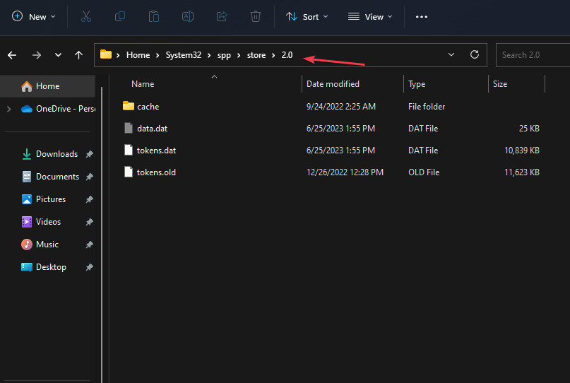 Проводник Windows — путь к папке spp store 2.0