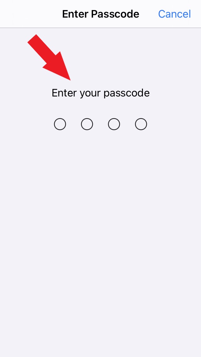 enter your passcode