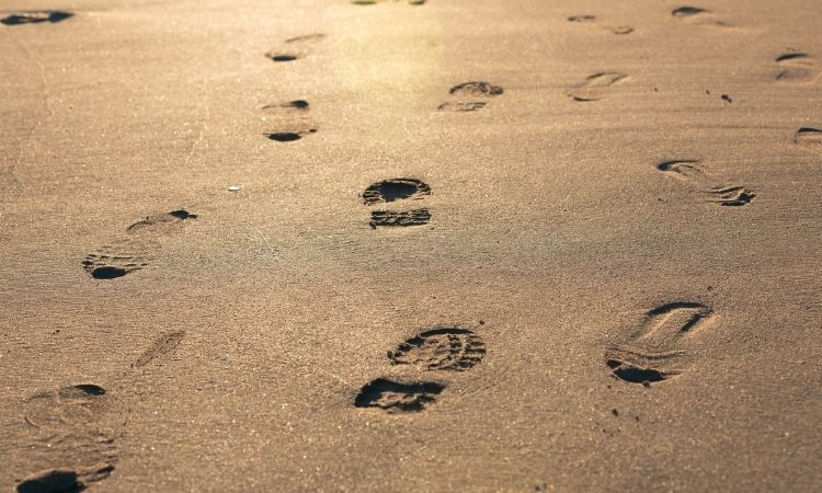 разные отпечатки и следы обуви в песке