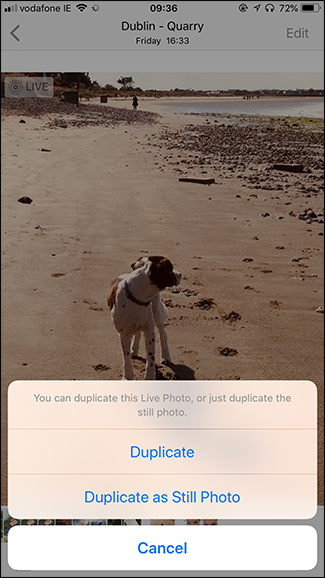 Подтверждение дубликата неподвижного изображения в интерфейсе