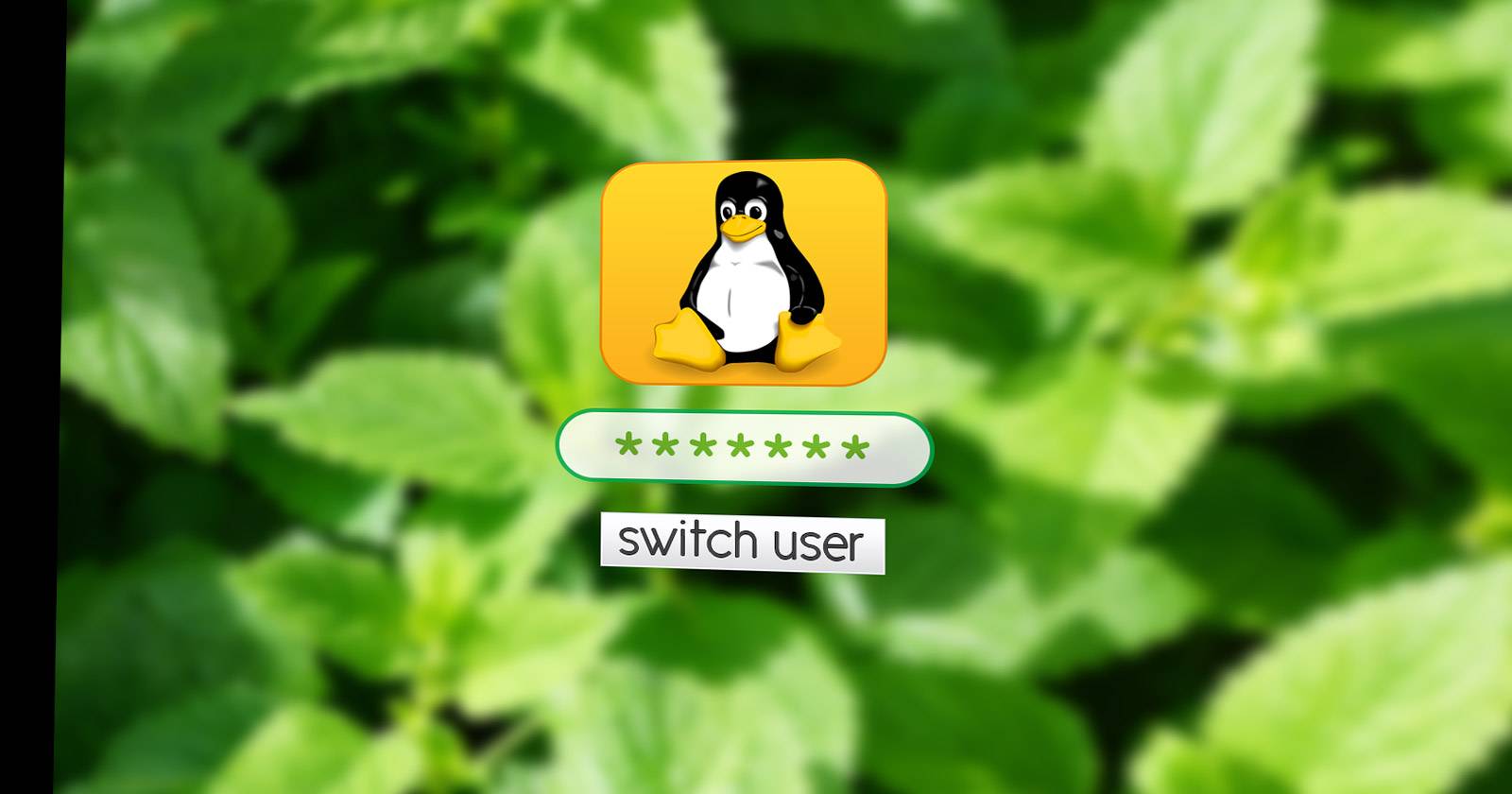 Экран входа дисплей-менеджера Linux