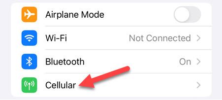 Выберите «Сотовая связь».