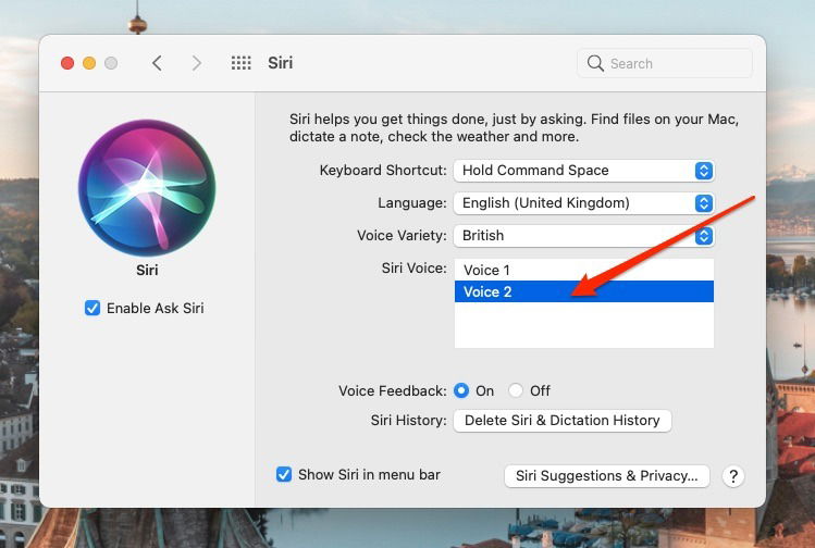 Screenshot showing how to change siri's voice on mac