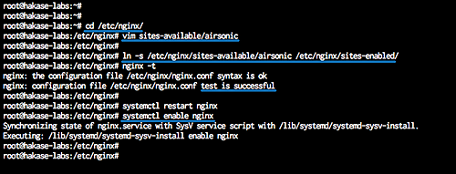 Установка Nginx и конфигурация обратного прокси для Airsonic