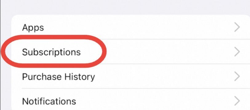 Скриншот раздела Подписки в iPhone