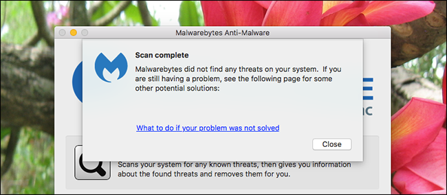 Окно сканирования Malwarebytes на Mac