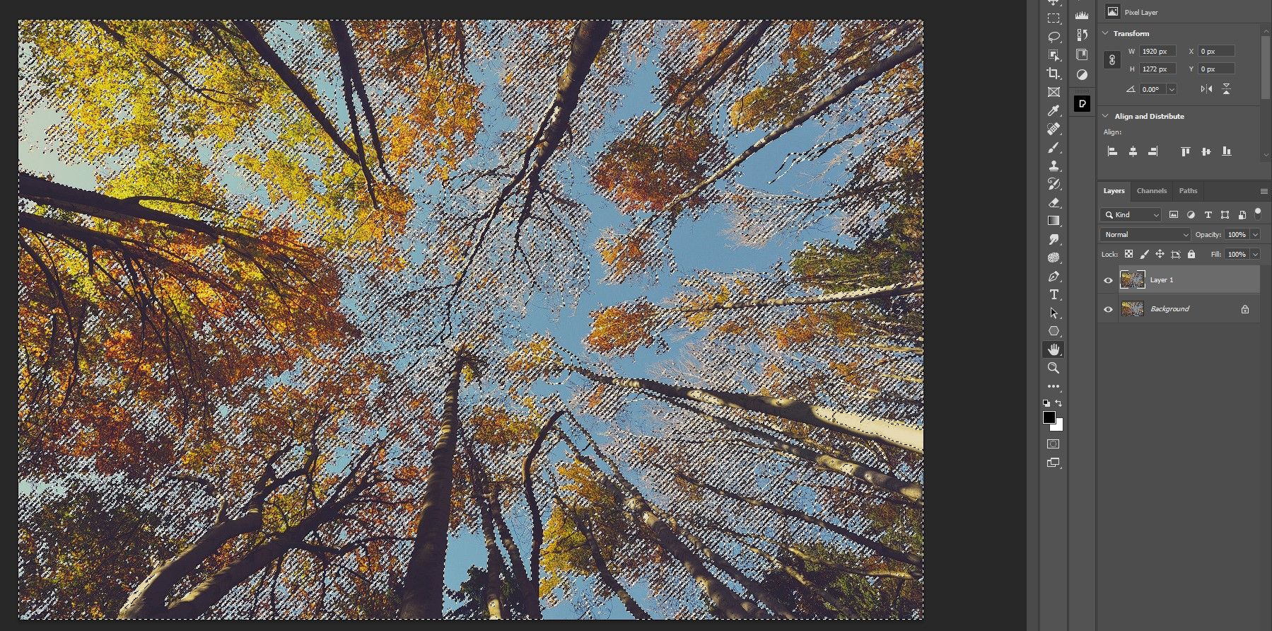 Выбор слоя Layer 1