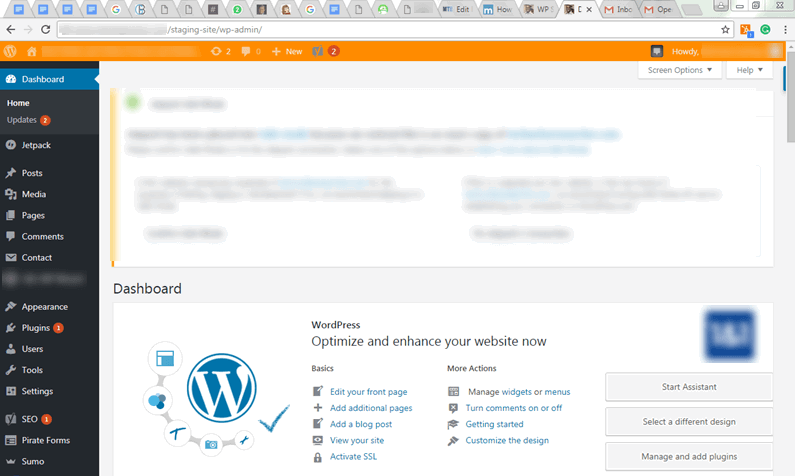 Панель управления staging‑сайта с оранжевой лентой и уникальным URL