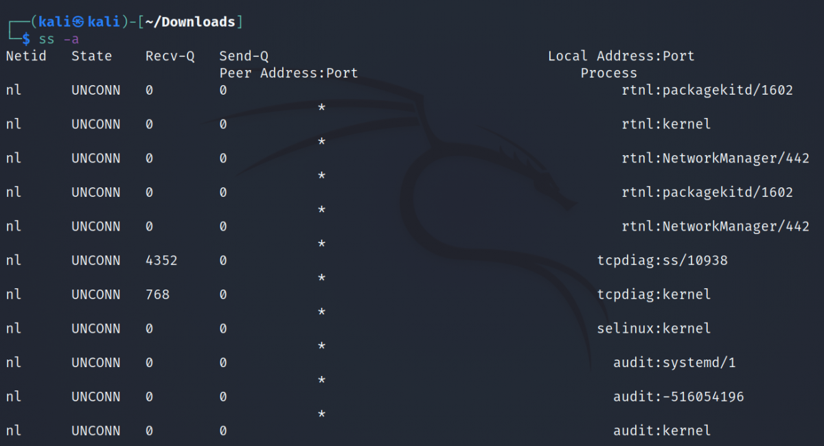 Показать все сокеты