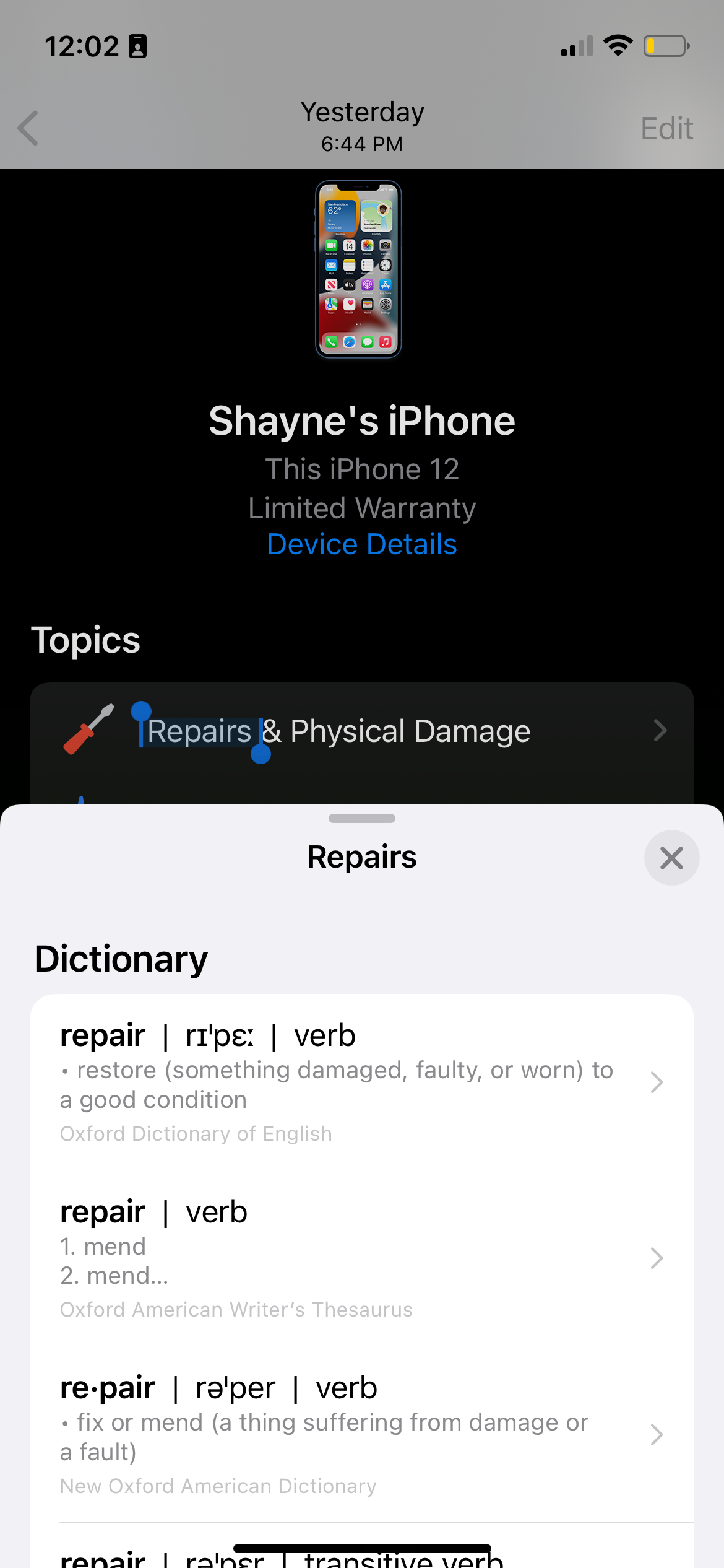Результат поиска слова в словаре iPhone