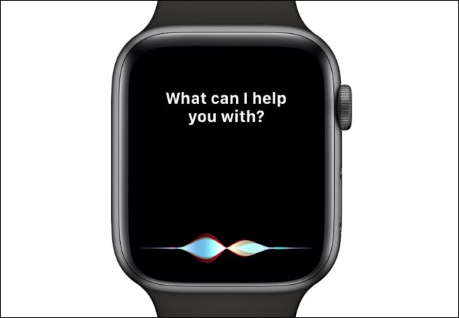 Apple Watch Siri