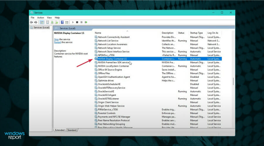 Сервис NVIDIA Display Container LS в Windows 11