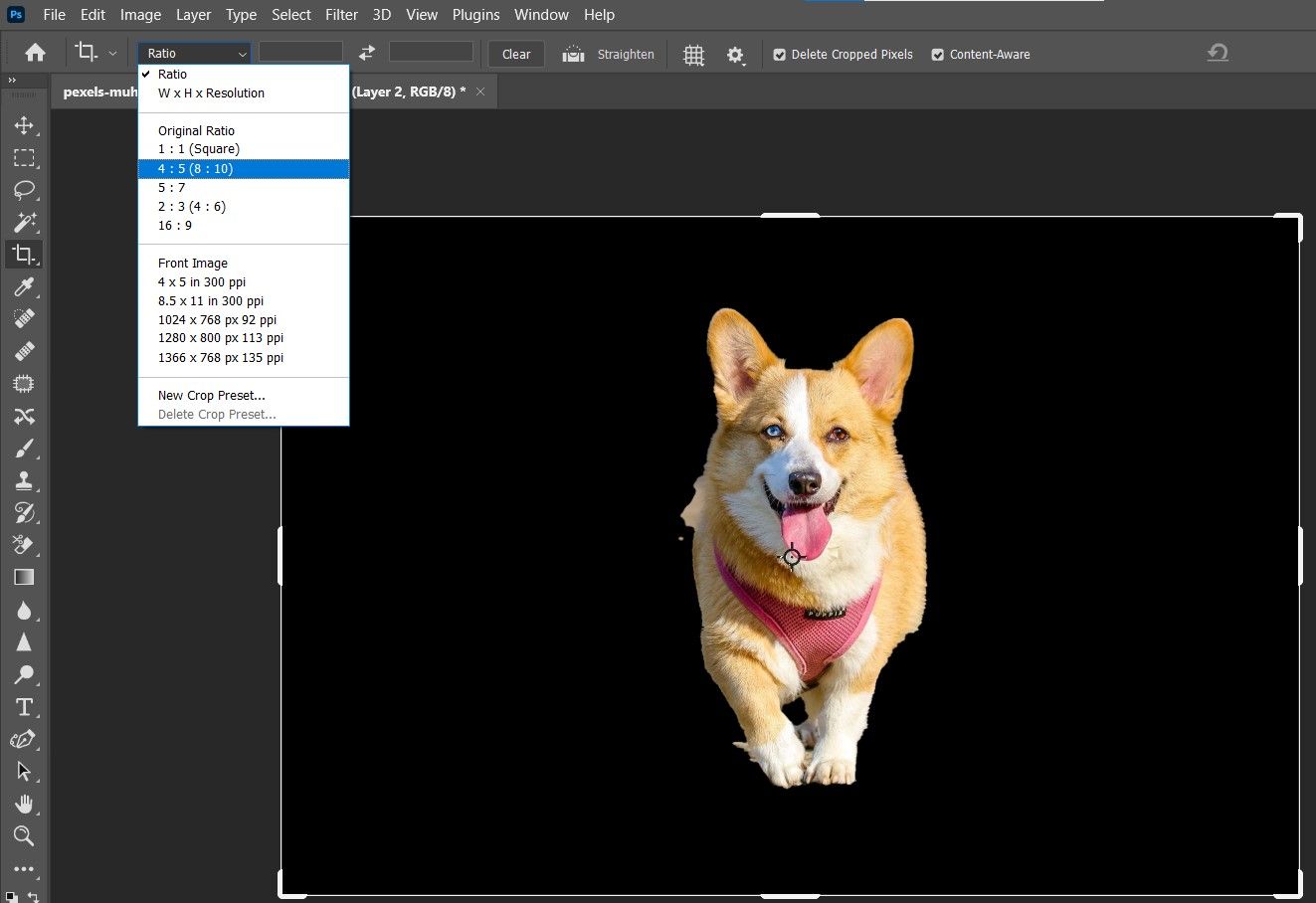 Выбор соотношения сторон 4x5