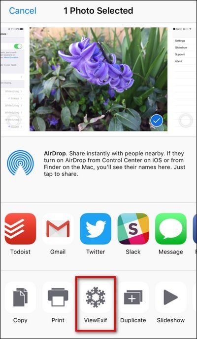 Экран ViewExif с детальными метаданными и картой местоположения