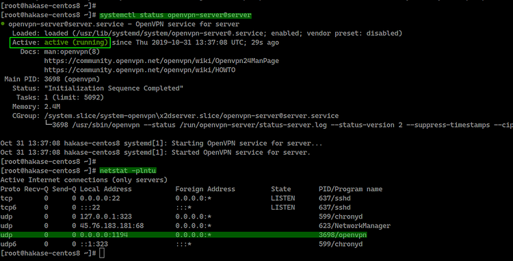 OpenVPN запущен успешно