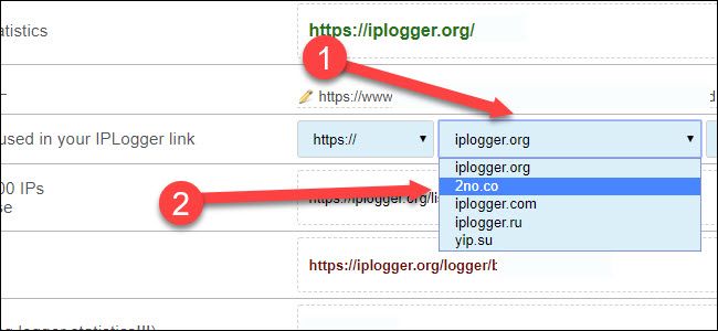 Выпадающее меню доменов IP Logger с выбранным 2no.co