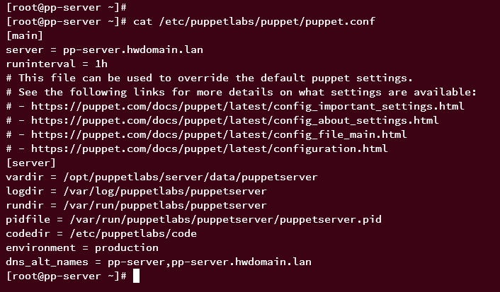 Сгенерированная конфигурация puppet server
