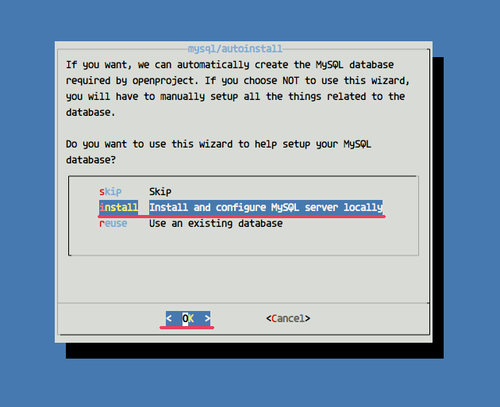 Мастер конфигурации OpenProject