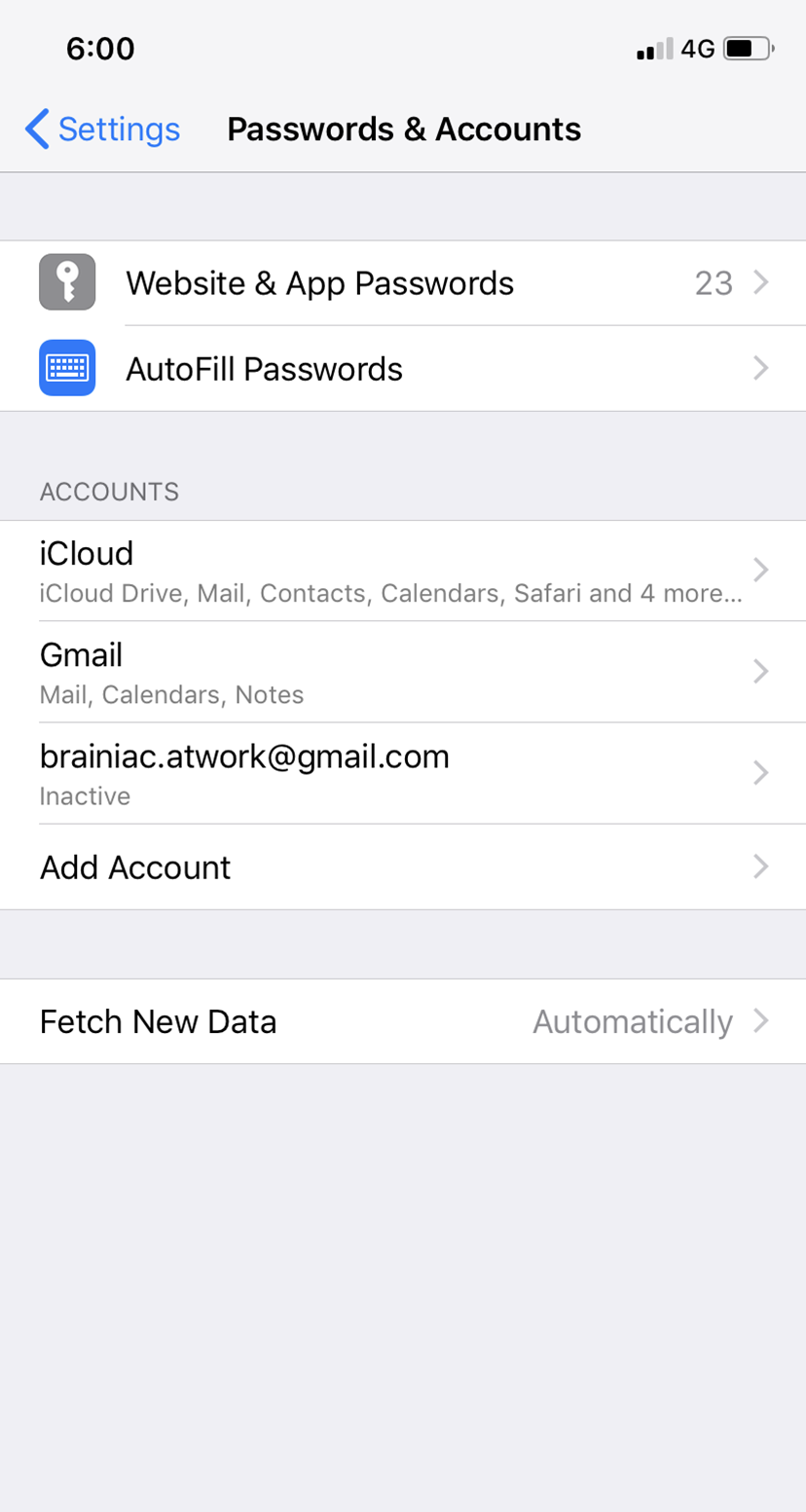 Sync Google Calendar with iPhone Password Panel