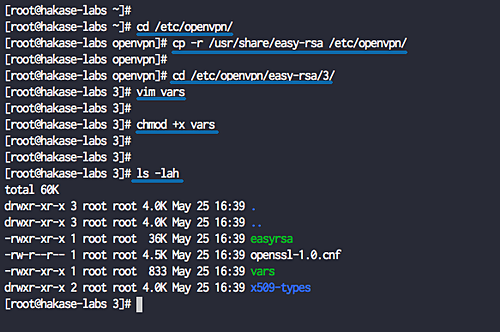 Конфигурация Easy-RSA — файл vars