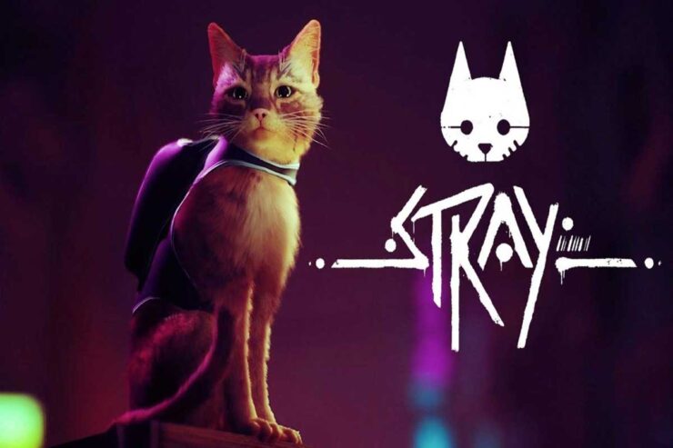 Как исправить Low‑Level Fatal Error в Stray