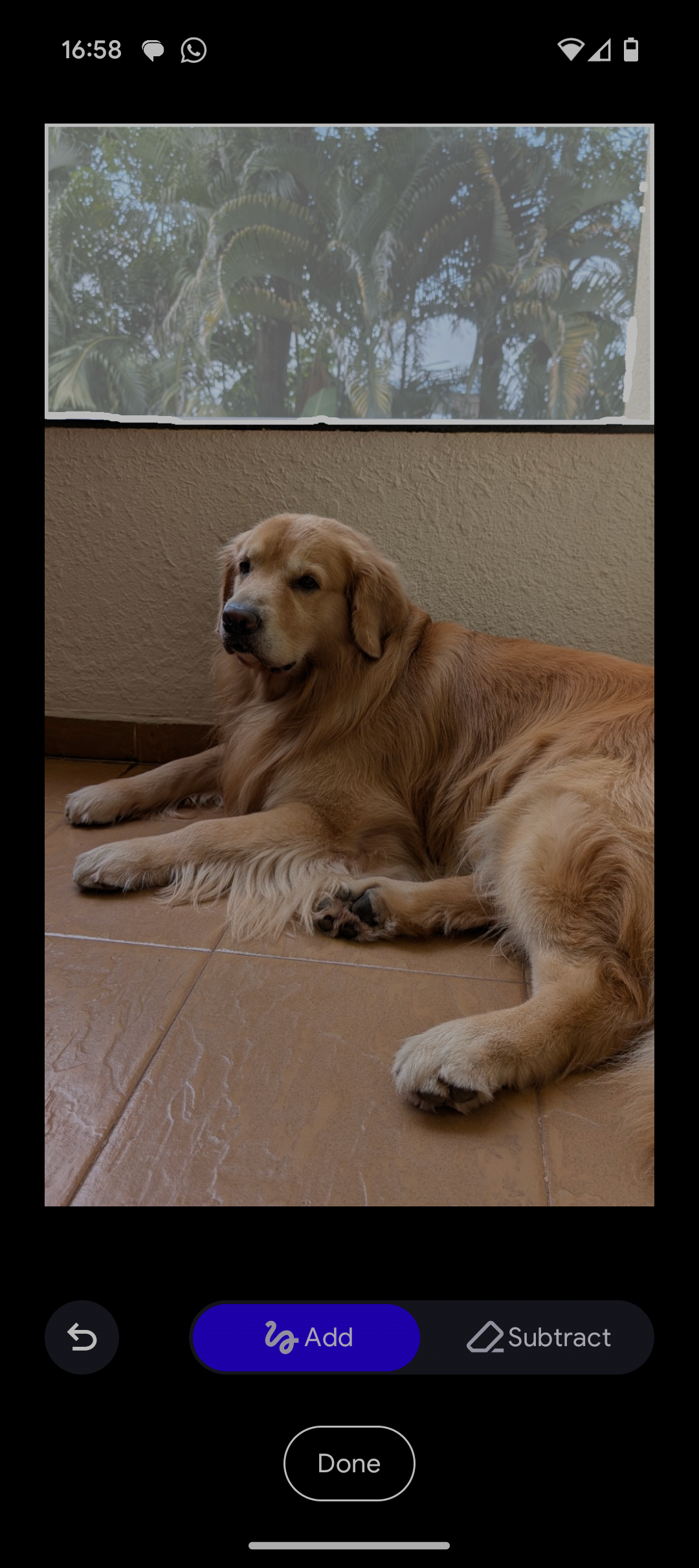 Pixel 9 показывает изображение собаки на балконе, программой выделен пейзаж за ней