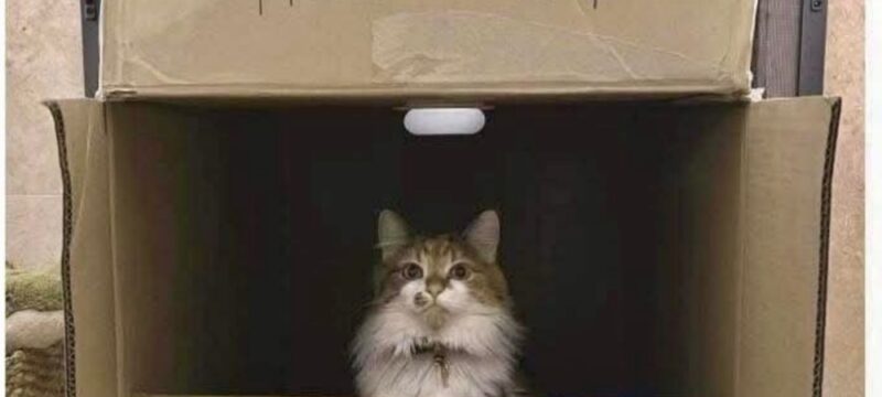 Экранная заставка с каруселью фотографий