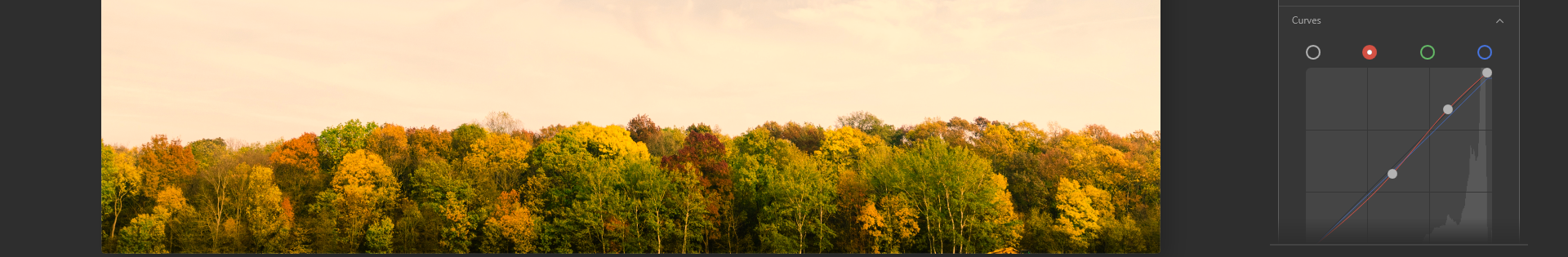 Кривые RGB в Luminar AI для управления контрастом и цветом