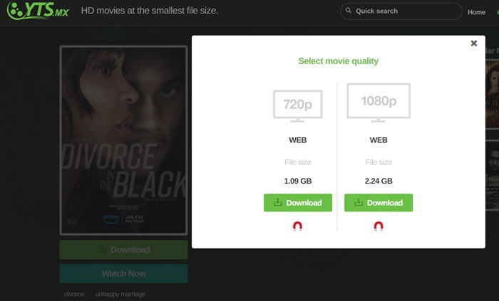 Иконка magnet рядом с кнопкой загрузки на торрент‑сайте