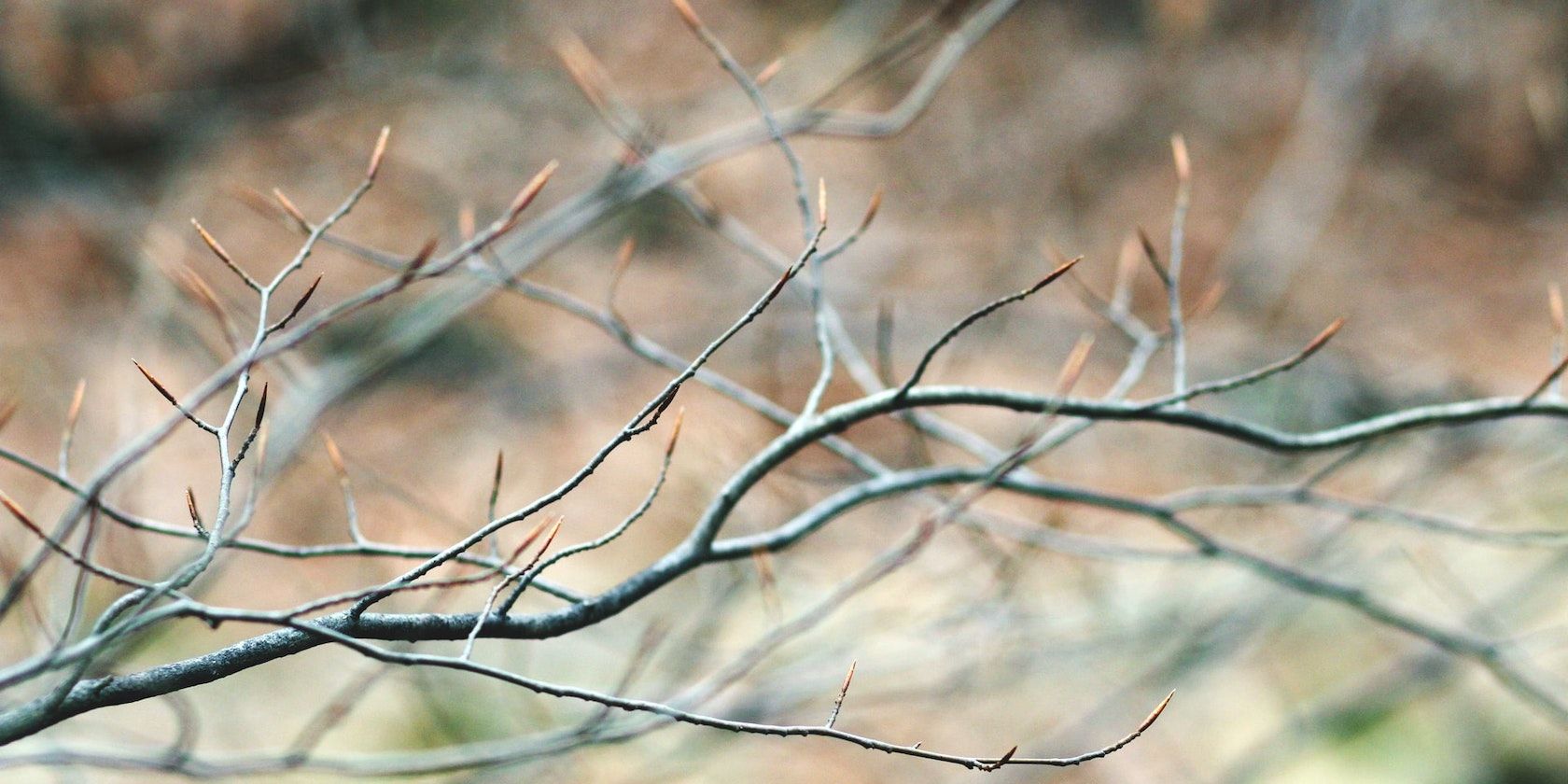 Как перечислить ветки в Git