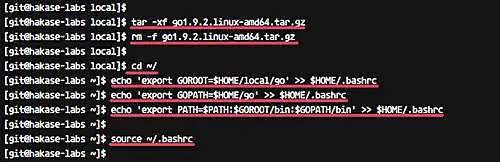Confirmación de la versión de Go instalada