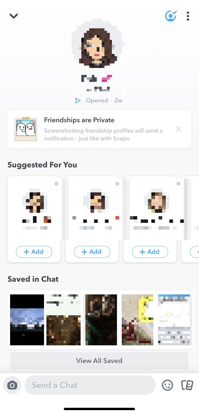 Профиль без Snap Score, пример удаленного или ограниченного доступа