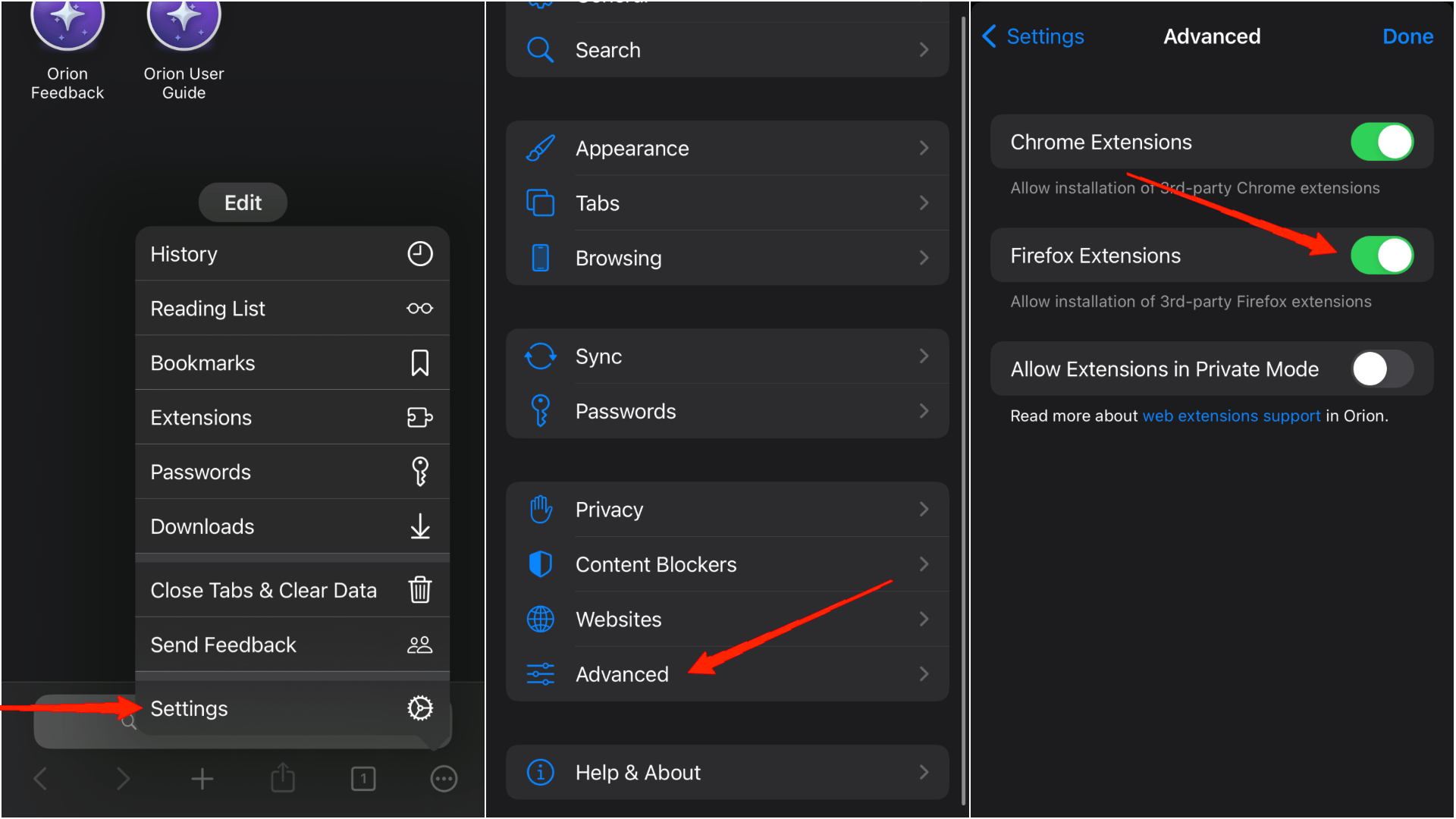 Настройки Orion: включены опции расширений для Firefox и Chrome