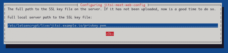 Указание приватного ключа SSL для Jitsi