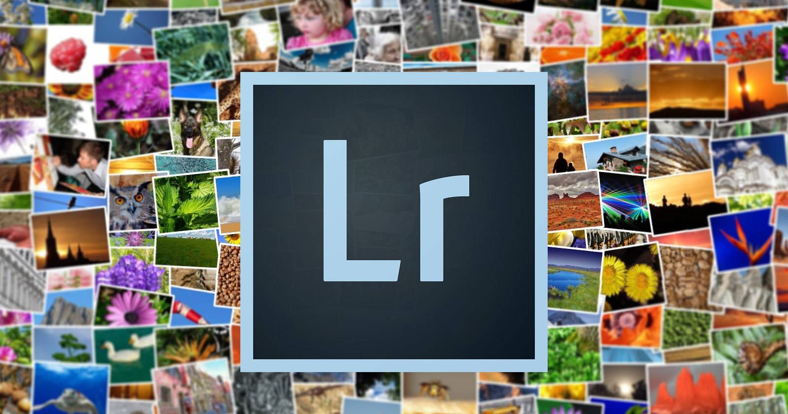 Резервная копия каталога Lightroom Classic
