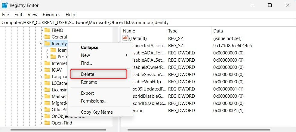 Удаление папки Identity в реестре