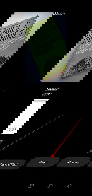 Instagram Reels Voice Voiceover