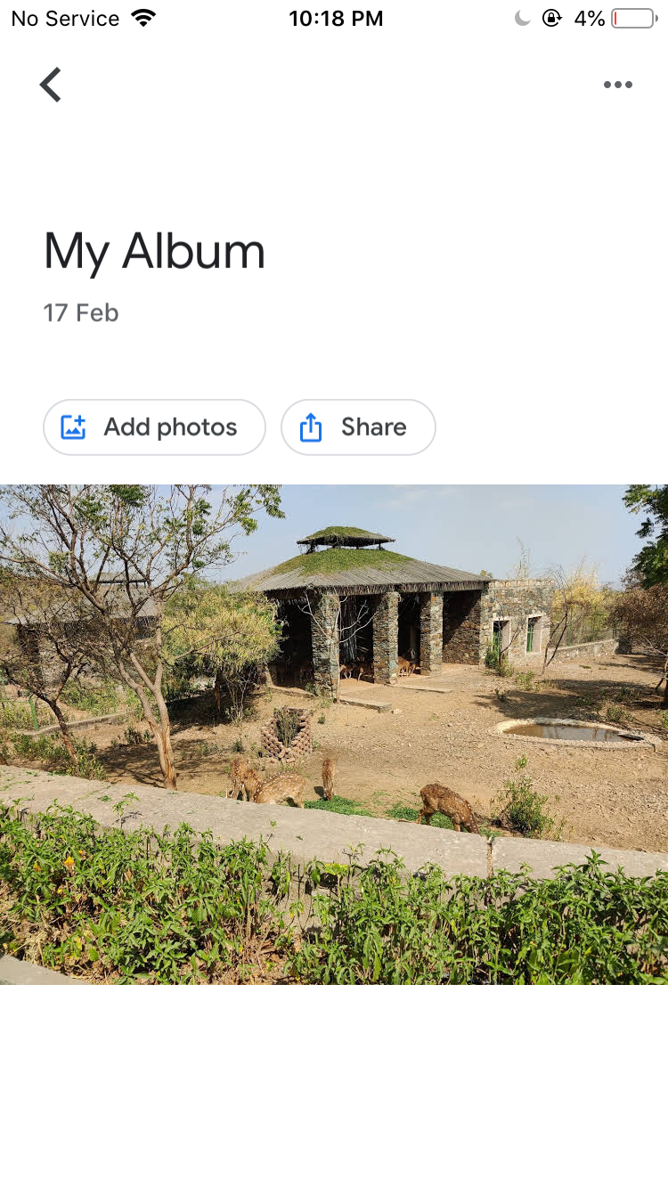 Альбомы в Google Photos на iOS