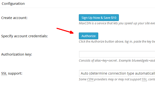 Поле вставки ключа авторизации и кнопка Authorize